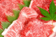 「お肉券」配布構想　国産牛のみ外国産は除外、子供がいる世帯のみ、一家族当たり400gなど