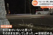 弟の乗ったベビーカーを押していた男児が横断歩道ではねられ死亡