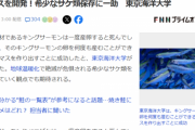 【悲報】ニジマスくん、キングサーモンの卵を何度も産むように魔改造されてしまうｗｗｗｗｗ