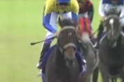 【競馬】世界のホースマンよ見てくれ！これが日本近代競馬の結晶だ！！！！！