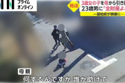 【悲報】チー牛さん、幼女を連れ去ろうとするも母親に負けて逮捕ｗｗｗｗ