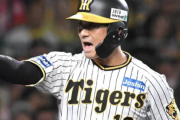 坂本誠志郎『リーグ優勝、日本一、GGベストナイン、最優秀バッテリー賞、侍を手にしました』←最強捕手