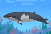 クジラの人生って想像したらめっちゃ怖くないか..？