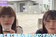 岩本蓮加ちゃんの実家が凄すぎてBBQに集中できん…【乃木坂46】