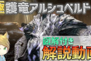 【FF14】各ギミックを図解付きで解説！「極護竜アルシュベルド狩猟戦」攻略解説動画
