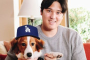 大谷翔平選手の愛犬、名前が「デコピン」だと判明ｗｗｗｗｗ
