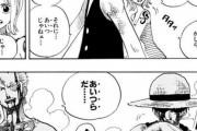 《ワンピース》ルフィ・ゾロ「あいつじゃねぇ…あいつらだ…」←結局これなんだったの