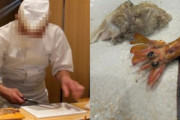 日本の高級寿司屋で「わさびテロ」…さらに虫の死骸まで＝韓国の反応
