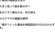 【悲報】韓国人さん、とんでもない方法で日本の醤油の企業秘密を盗んでしまう