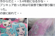 ゴミ捨て場からプリキュア女児パンツを回収していたプリキュアおじさん、批判したネット民にブチ切れて法的措置する模様ｗｗｗ