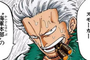 【悲報】ONE PIECE　スモーカー中将の大佐時代の戦績ｗｗｗｗｗｗｗｗｗｗｗｗｗ