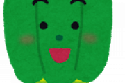 【急募】ピーマンの大量消費方法