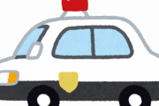 札幌ハロウィンでパトカー盗んでウェーイ！？周囲は騒然　真相は