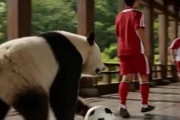 中国人「サッカー日本代表と中国代表はかつて同じユニフォームを着ていた」　中国人「この時代の中国代表は全盛期」「この人はあの監督？」