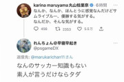 【悲報】丸山桂里奈｢何となくだけどワールドカップ優勝するような気がする｣ツイッター民｢素人は黙っとけ｣