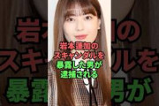 岩本蓮加のスキャンダルを暴露した男が逮捕される