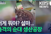 【閲覧注意】韓国食品会社『大量の虫…』製造工場の映像に衝撃...お前らが思ってる2倍、韓国の工場らしさある