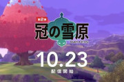 【ポケモン剣盾】まだこの環境10日経ってないんだよな【冠の雪原】