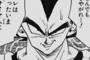 【ドラゴンボール】ベジータって何で急にフリーザと互角の強さになったん？？？？？？？？？？？？？？？