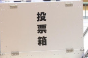 【選挙】ワイ、初めての投票で軽くパニックになる