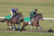 日本馬が英仏の大レースで勝つにはどうしたらいいか？