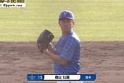 DeNA徳山壮磨投手って今年、全盛期の平田真吾さんぐらいはやってくれそう？