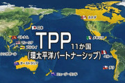 韓国「日本は韓国のTＰＰ加入に反対したら後悔するぞー！」
