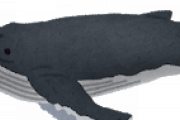 世界一大きな脳を持つクジラ、なんで知能は人間以下なの？？