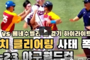 【野球】 U‐23W杯で大乱闘、両者手を出すも韓国選手だけが退場＝韓国ネット「韓国選手が悪い」 ［9/11］  [仮面ウニダー★]