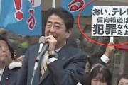 日本は若者ほど「政権支持」「トランプ支持」「学術会議任命拒否問題なし」　毎日新聞「一体なぜ…」