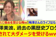 【黒歴史】梅澤美波、過去の黒歴史ブログを晒されて大ダメージを受けるwww【乃木坂46・乃木坂配信中・乃木坂工事中】