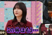 【乃木坂46】林瑠奈の顔面の強さを改めて思い知らされる。