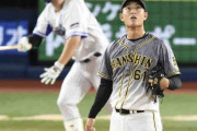 阪神・望月、今季の連続無失点９試合目でストップ　佐野に８号ソロ浴びる