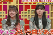 【日向坂46】まなふぃ、ぶっ込んでウッチャンに突っ込まれるw【THE突破ファイル】