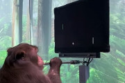 脳にチップを埋めたサルが思念でゲームをプレイする動画を公開