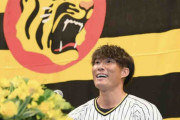 阪神・糸井　１９年の現役生活に幕「昨日、泣きすぎて一睡もしていない」佐藤輝ら登場で涙目
