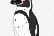 ［悲報］ペンギン、くさい