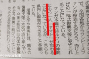 【悲報】新聞さん、ワンピースのとんでもないネタバレを掲載してしまうｗｗｗｗ