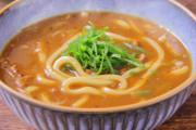 カレーうどんとかいううどん料理の最高傑作