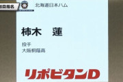 柿木蓮ってなんでドラフトの時あんな評価低かったん？