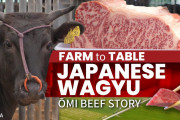 海外「お腹へってるのに観るんじゃなかった…」京都からすぐ！「和牛のパラダイス」を紹介した動画に注目！