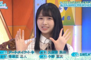 【日向坂46】ひよたん＆ひなの盛ってるで企画はヤバいことになりそうな予感ｗｗｗ【ひなあい】