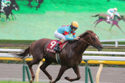 【毎日王冠を完勝】サリオス　次走は秋天ではなくマイルCSか
