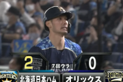 【速報】日ハム王柏融と大田泰示の連打で貴重な追加点ｷﾀ━━━━(ﾟ∀ﾟ)━━━━!!