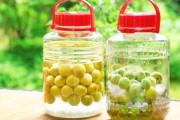 【悲報】梅酒を自作して5日目ワイ、待ちきれず梅酒を買ってくるwwwwwwww（画像あり）