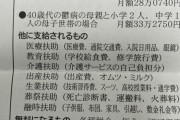 【画像】40代単身生活保護受給者「助けて！月に12.5万円しか貰えないの！死んじゃう！」