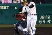 関本賢太郎氏　阪神・井上は打球でわかる大山以上の素材　4年後には本塁打王争いか