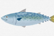鯖とかいう旨さと値段が釣り合わない魚