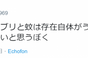 岩田さん、ネット右翼へのヘイトスピーチが止まらないｗｗｗ #悲報