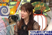 指原莉乃　「ラジオ辞めたいってのは"もう芸能界の仕事は要りません"って意味。そうじゃないと言えない」　これマジ？